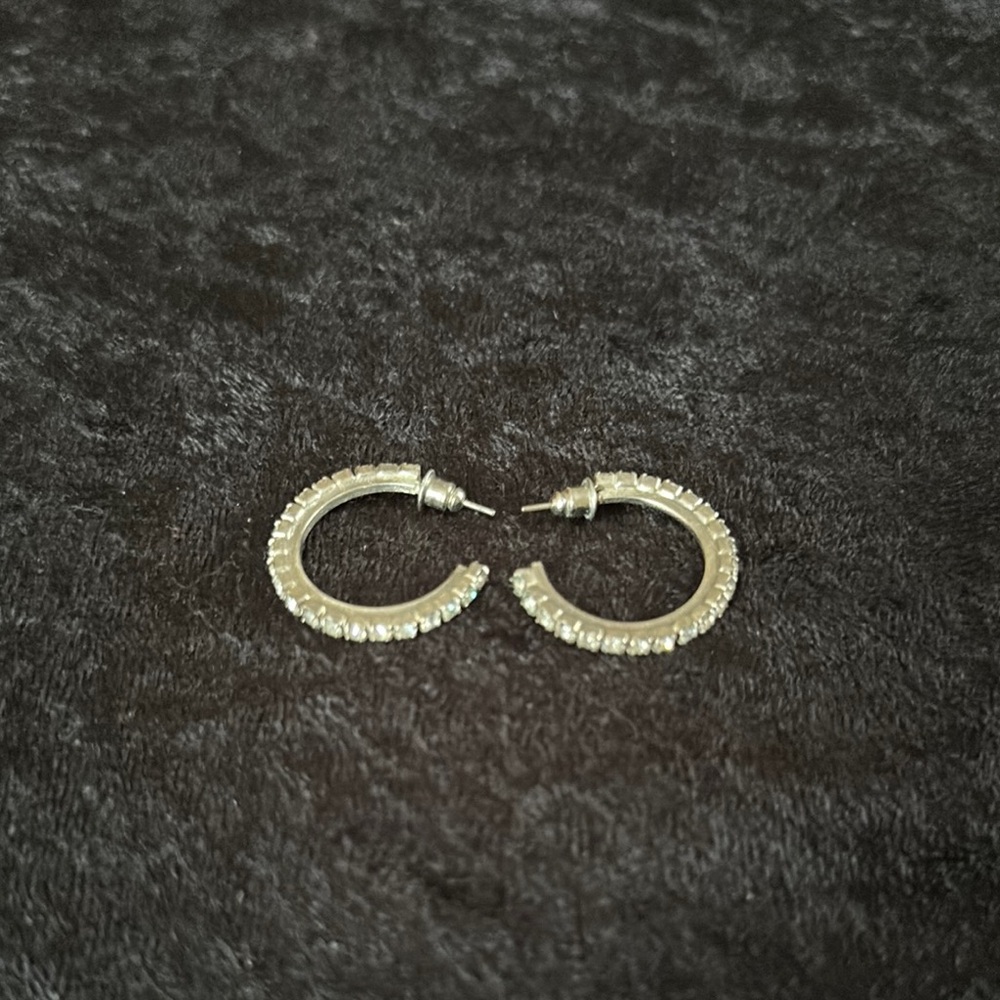 Elegant Silver Hoop Earrings